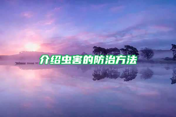 介绍虫害的防治方法