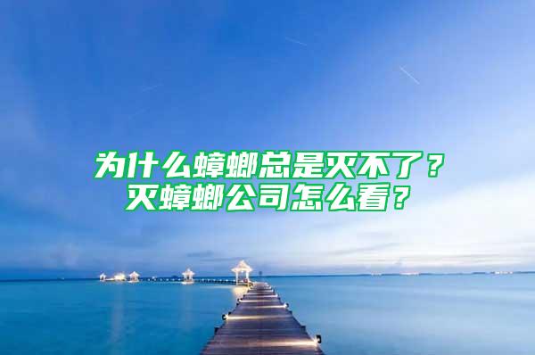 为什么蟑螂总是灭不了？灭蟑螂公司怎么看？