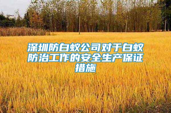 深圳防白蚁公司对于白蚁防治工作的安全生产保证措施