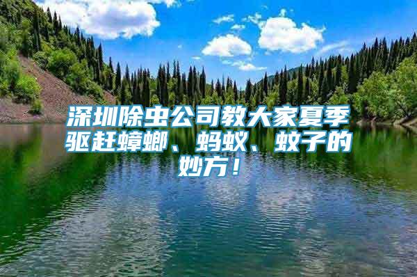 深圳除虫公司教大家夏季驱赶蟑螂、蚂蚁、蚊子的妙方！