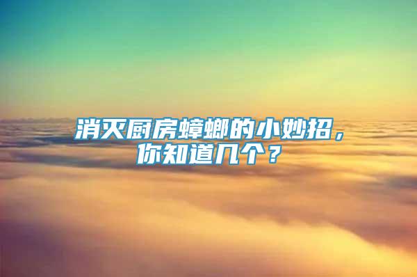 消灭厨房蟑螂的小妙招，你知道几个？