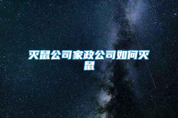 灭鼠公司家政公司如何灭鼠