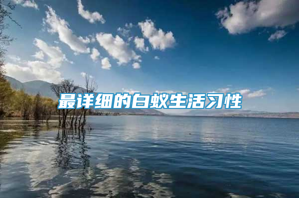 最详细的白蚁生活习性