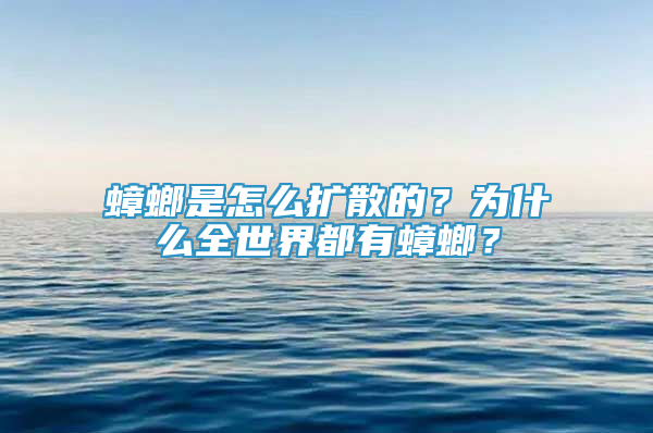 蟑螂是怎么扩散的？为什么全世界都有蟑螂？