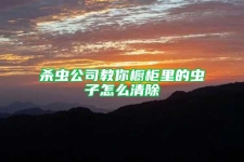 杀虫公司教你橱柜里的虫子怎么清除