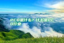 PCO是什么？什么是PCO行业