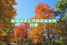 深圳消杀公司的实际案例效果