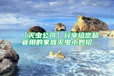 【灭虫公司】分享给您超管用的家庭灭虫小妙招