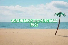 农贸市场虫害怎么控制最有效