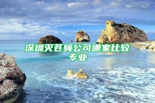 深圳灭苍蝇公司哪家比较专业