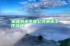 深圳消杀专业公司消杀工作流程