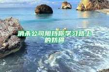 消杀公司阻挡你学习路上的妨碍