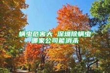 螨虫危害大 深圳除螨虫哪家公司能消杀